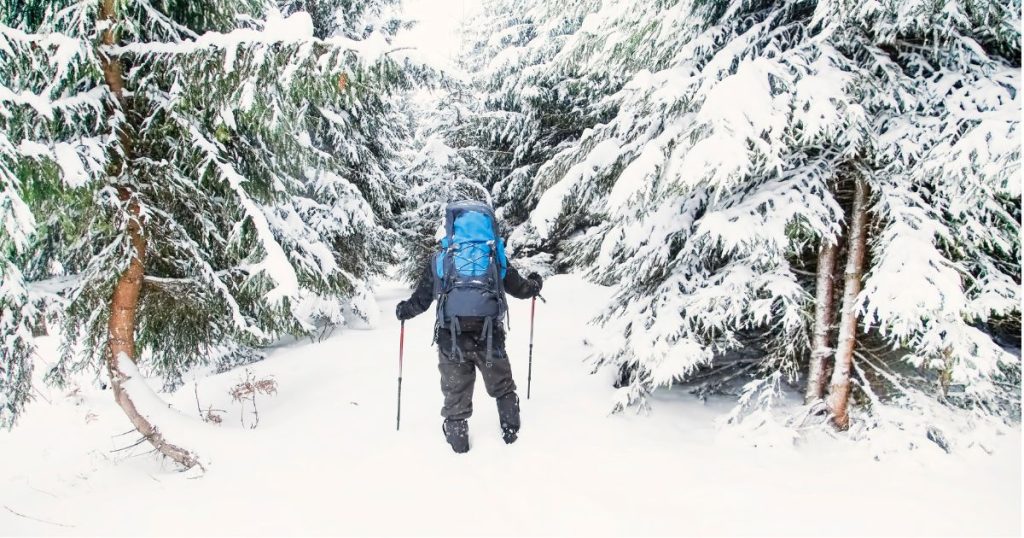 Outdoor Winter Activities to Enjoy in Colorado
