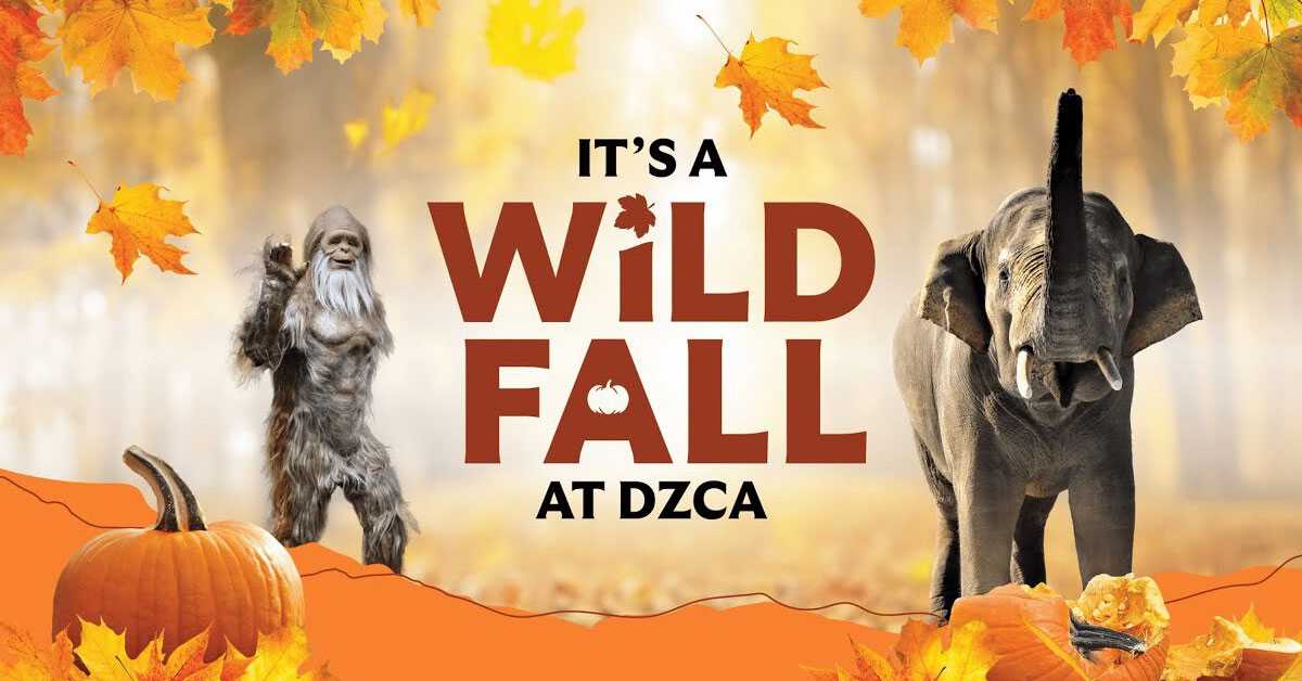 Wild Fall at DZCA