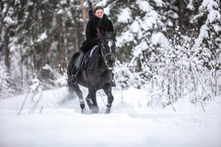 Black Horse through Snow in Winter